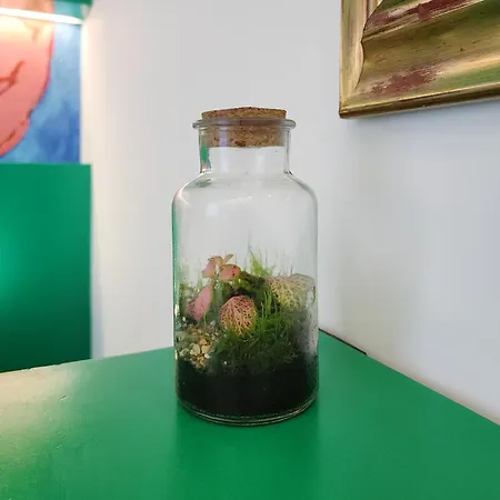 Πανσιόν Prisma